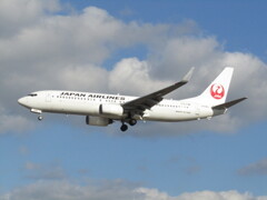 JAL  B737-800  JA338J　福岡空港
