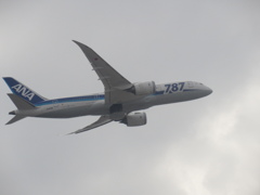飛ぶ787②