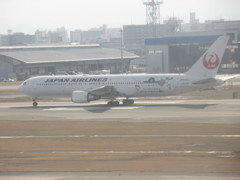 SUICAペンギン飛来③