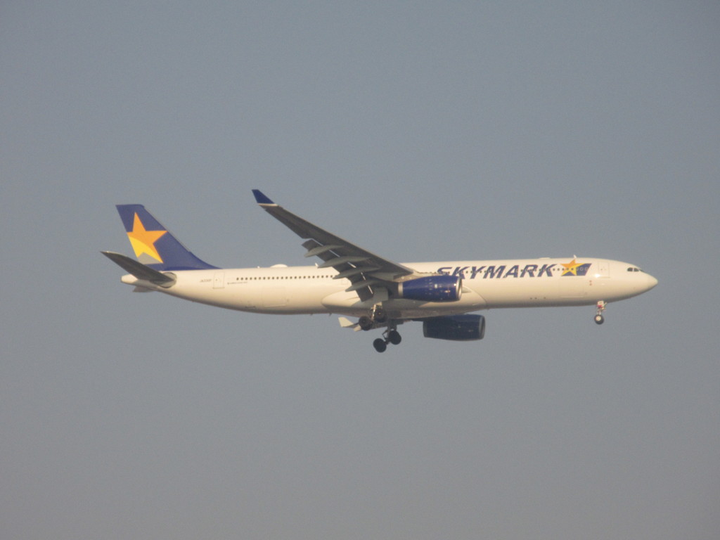 今日のフライト