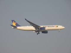 今日のフライト