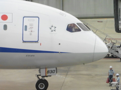 ＡＮＡ　Ｂ７８７－９到着