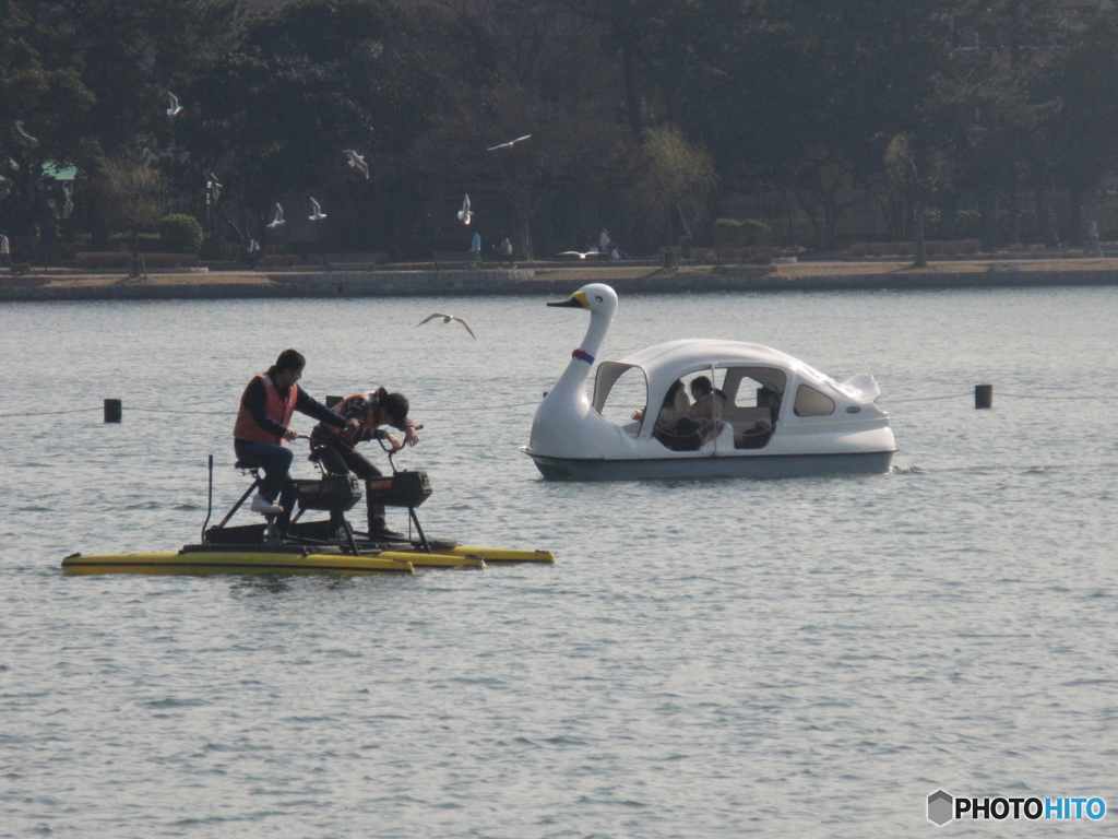 大濠公園の賑わい①