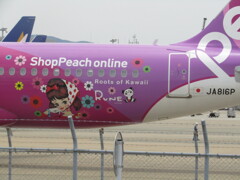 Shop Peach Online  JA816P