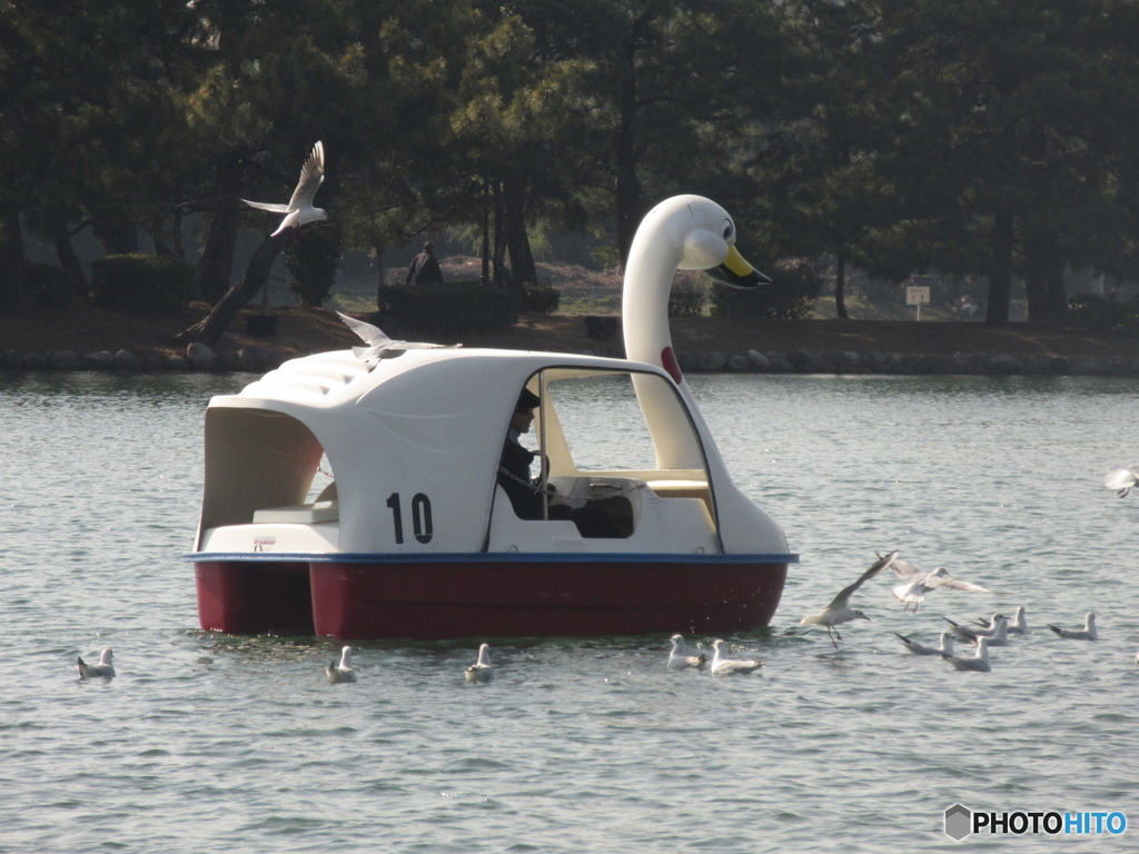 大濠公園の賑わい②