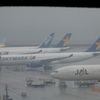 羽田空港に待機中のスカイマークA３３０