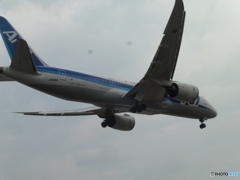 B787の着陸