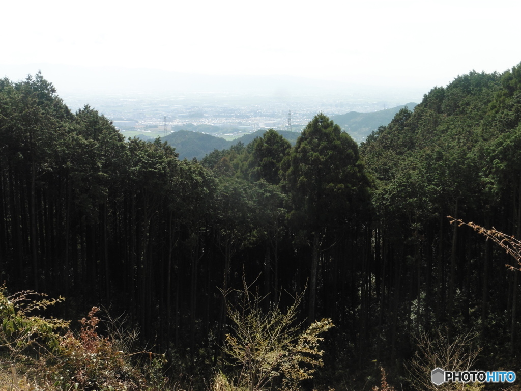 山頂からの街並み