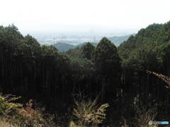 山頂からの街並み