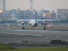 ANA　ボンバルディアのランディング　福岡空港にて
