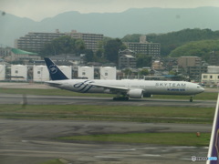 コリアンのスカチ③