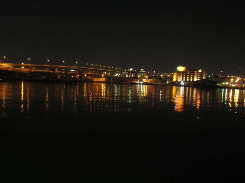 夜の都市高速①