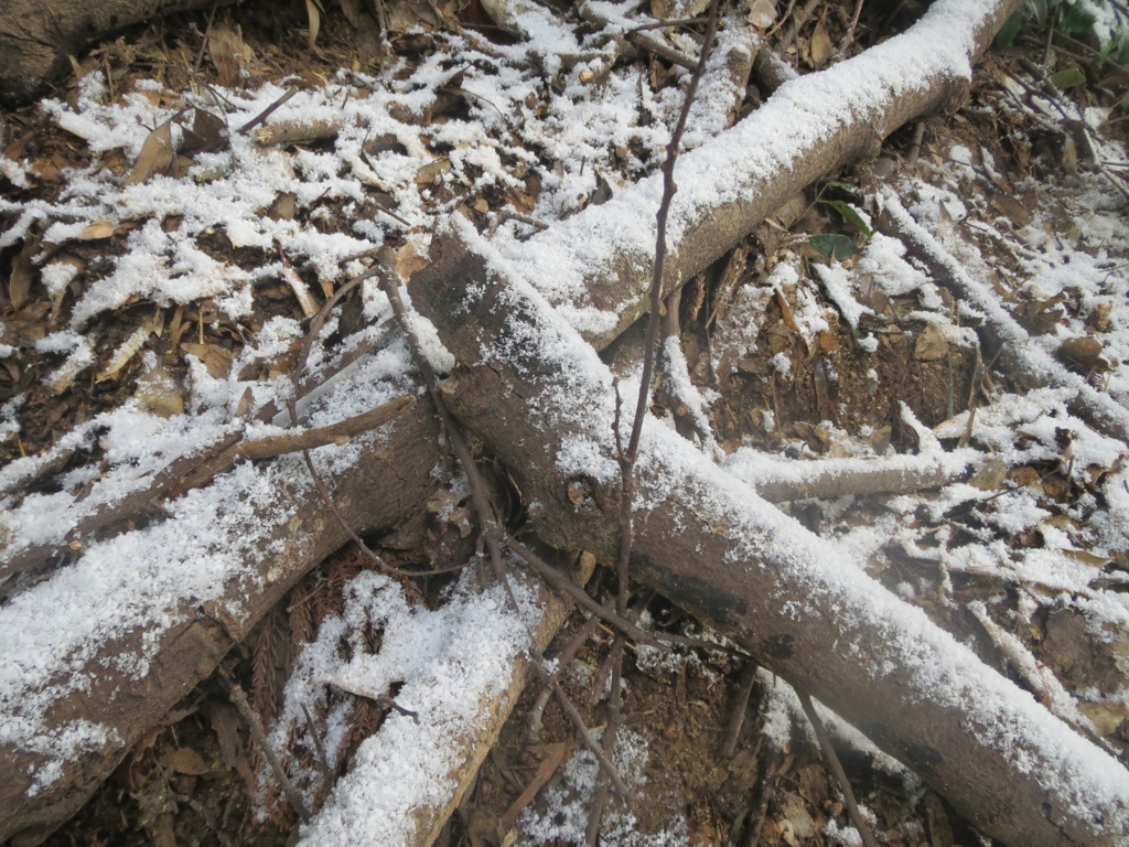 雪景色　5