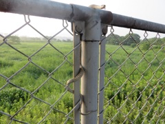 鉄策にまきつく蛇