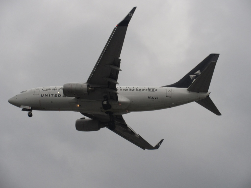 UNITED　B737　スターアライアンス