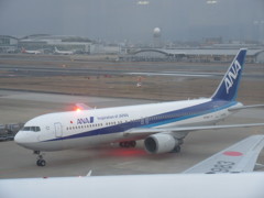 ANA  B767  元パンダジェット