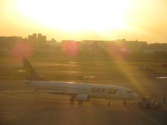 SKYMARKの出発と夕日
