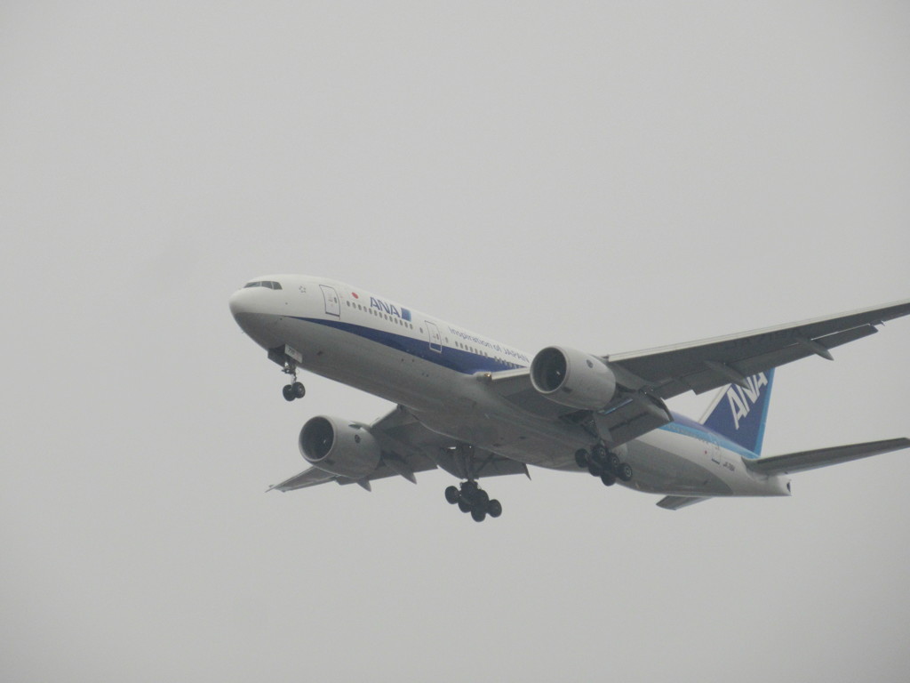 ANA  777-200  JA716A