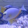 博多シティでの天空の水族館④