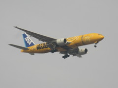 ANA  777-200  JA743A　①