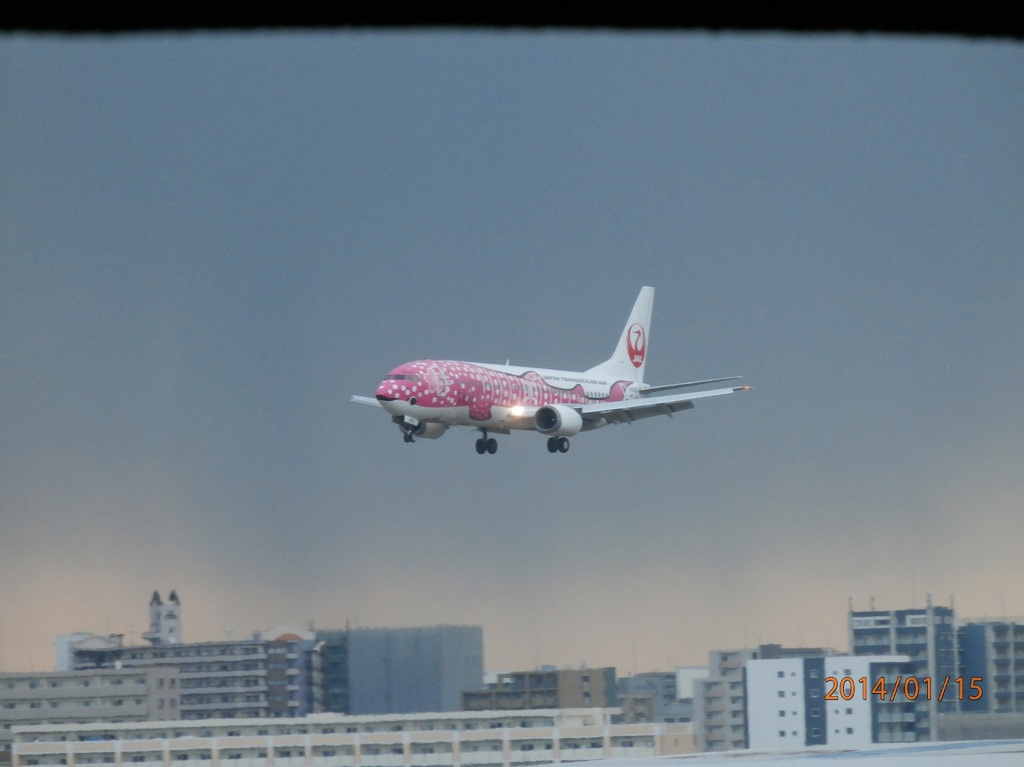 福岡空港で撮影したさくらジンベエ①