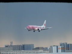 福岡空港で撮影したさくらジンベエ①