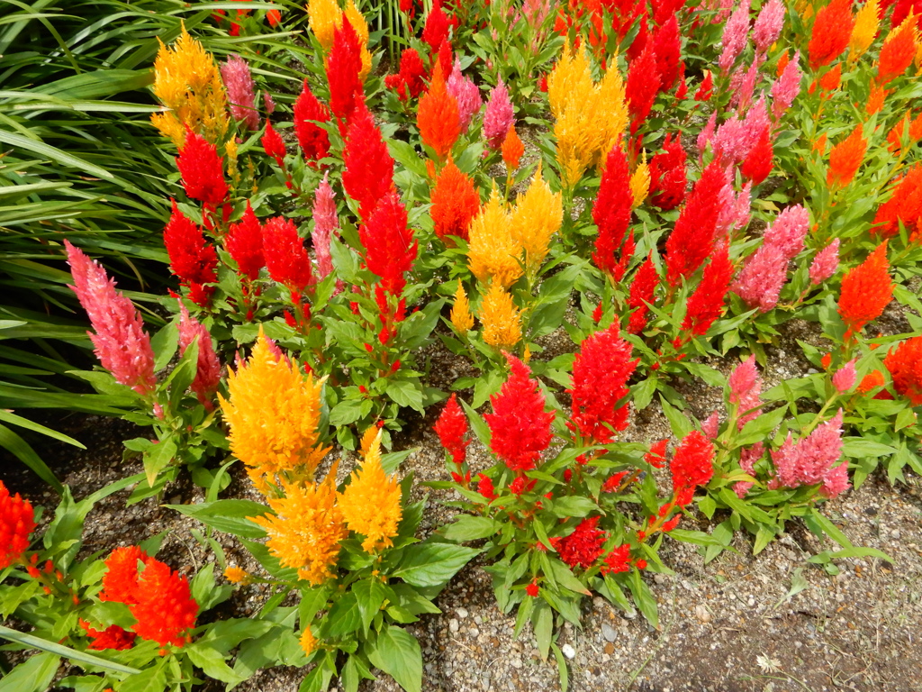 小倉北区の勝山公園　②