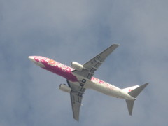 上空を通過するAIR CHINA