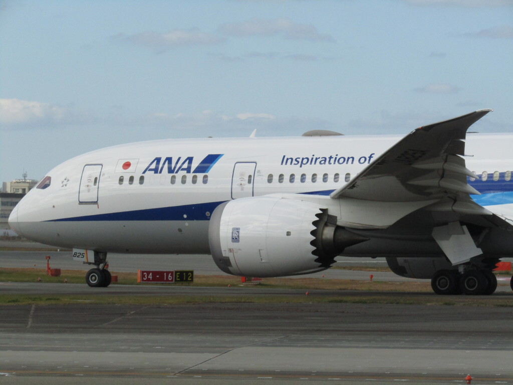 ANA  B787-8  JA825A　福岡空港