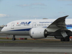 ANA  B787-8  JA825A　福岡空港