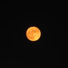 Iオレンジに光るお月さま