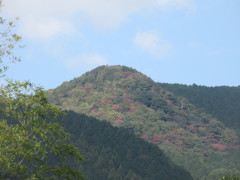 紅葉が見える山肌