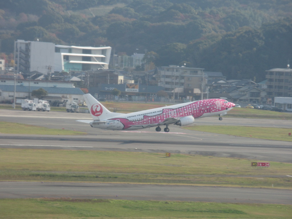 ピンクジンベエ離陸