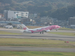 ピンクジンベエ離陸