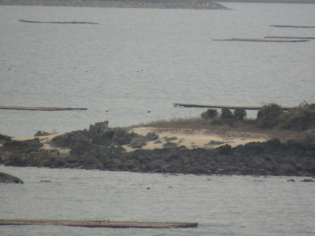 北九州空港周辺の島　①