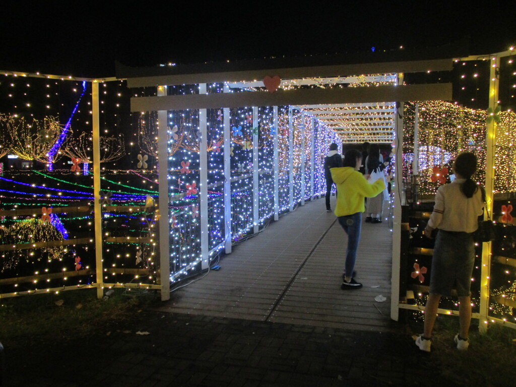 佐賀県鳥栖市中央公園のイルミネーション　④