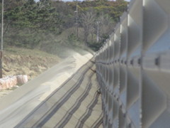 福岡県　芦屋海岸　⑧