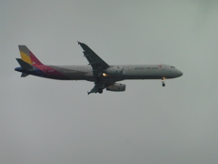 ASIANA A321着陸