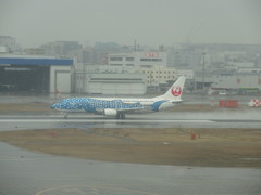 ジンベエ離陸①