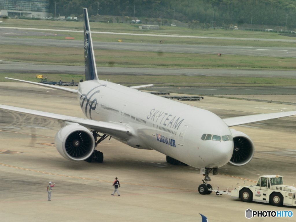 コリアンのスカチ②