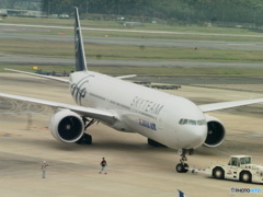 コリアンのスカチ②