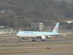 KOREAN  B777-300着陸