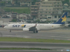 skymark tiges塗装現る