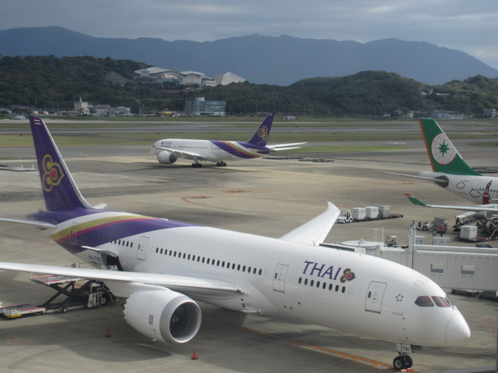 タイ国際　B787-8のダブル②