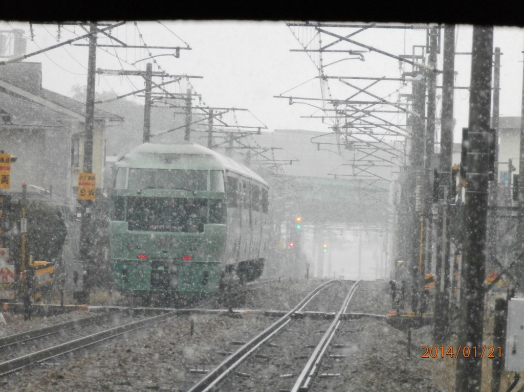 雪とゆふいんの森