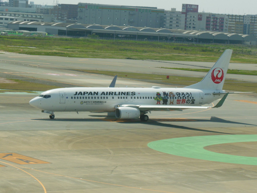 JAL  B737-800 守ろう！世界の宝のラッピング　①