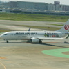 JAL  B737-800 守ろう！世界の宝のラッピング　①