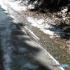 路上を流れる雪解け水②