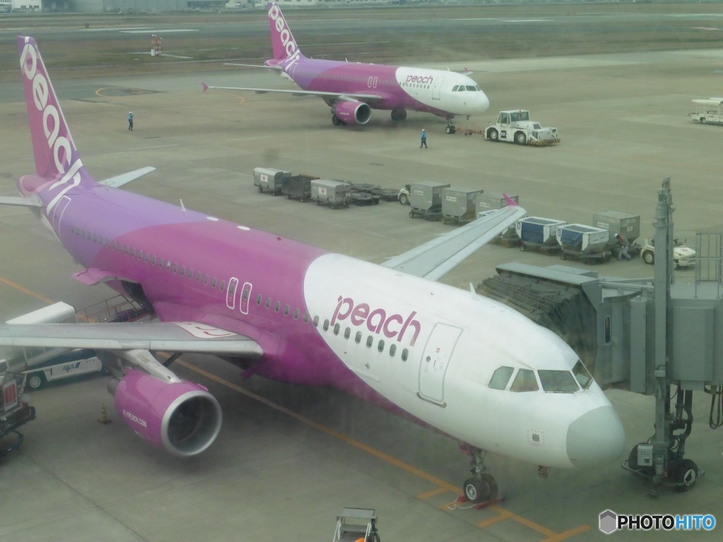 レドームの色違い