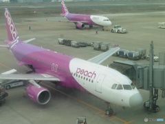 レドームの色違い